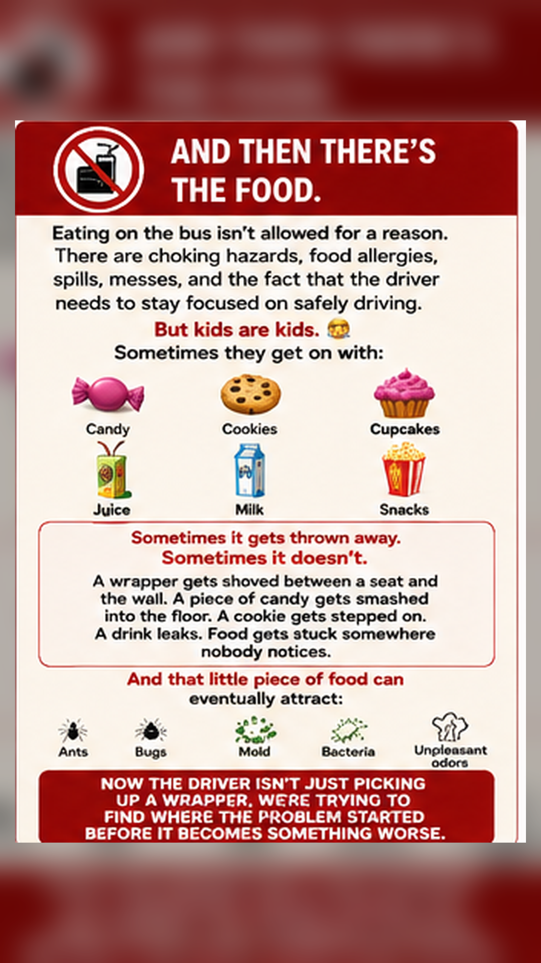 School Bus Safety — Panel 06